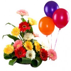 Bouquet of Mixed Gerberas and Balloons